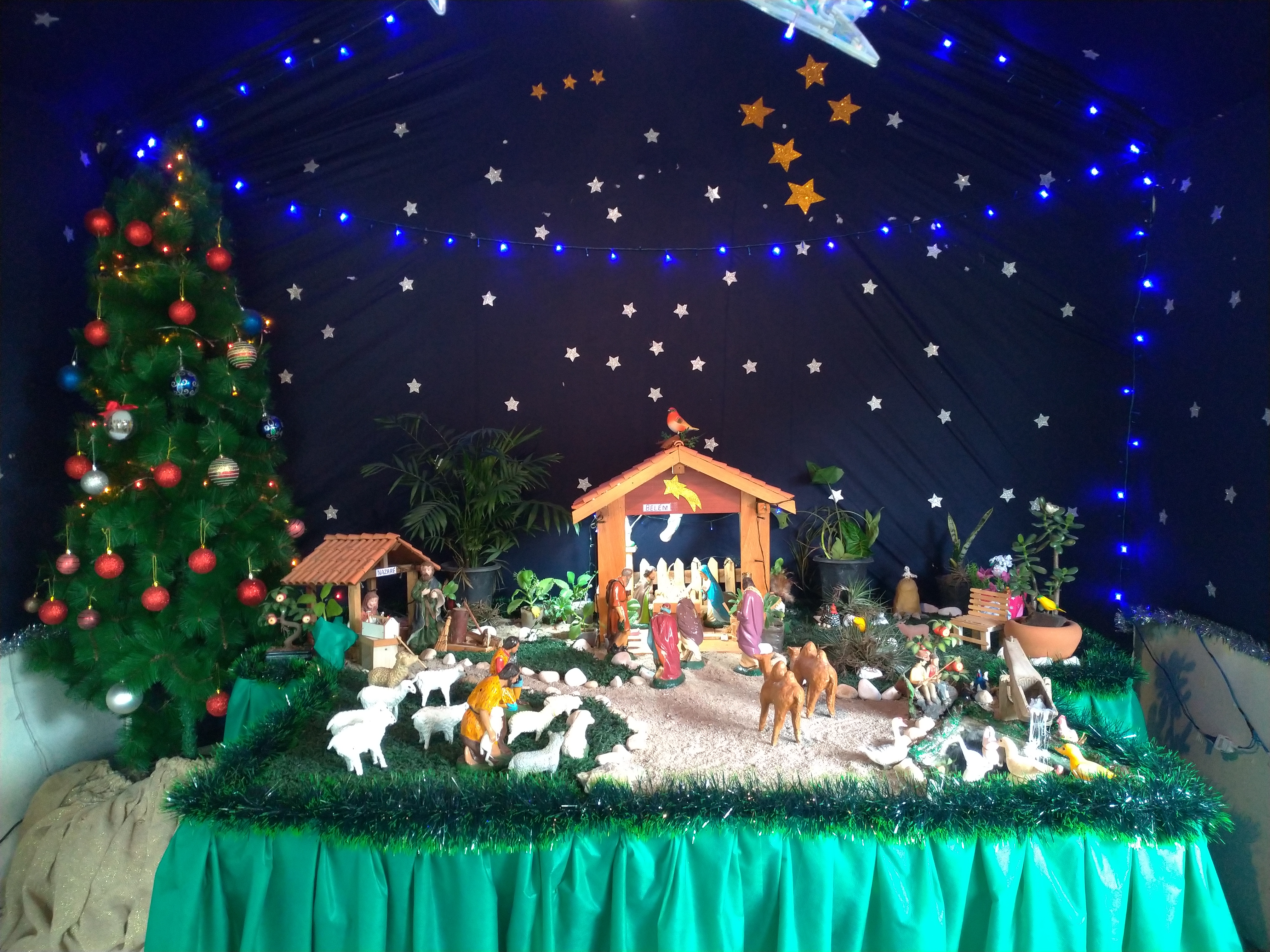 Capa para o vídeo da Folia de Reis